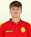 Calciatore Francesco MATELICANI - Attaccante